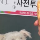 온새네 간식점 네이버블로그