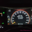 100프로카센타 이미지