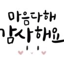 작전 합기도 이미지
