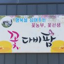 다비농장 티스토리