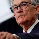 비둘기한국@ 이미지