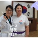 용인대 수영 태권도장 이미지