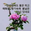 황혼의 길 이미지