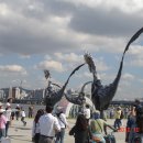 서울참새 이미지