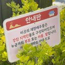 사의재 (한옥체험관) | 강진여행 | 사의재 한옥체험관 마당놀이 마당극 다산의꿈 조만간프로젝트