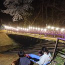 행복한숲 Happy forest | [시흥 캠핑식당/시흥 바베큐 고기숲] 아이랑 가기 좋은 경기 가족모임장소 추천!