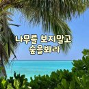 미래를 보는 눈