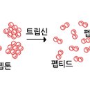 덕소식품 - 사하구 | 덕소식품