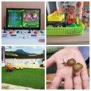 오늘도둔덕하루 이미지