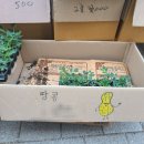 진주팜농약 이미지