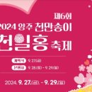 천일홍축제 이미지