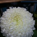 노원구청사 이미지