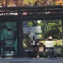 더 글라스 안경원 이미지