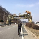 cu포천가산점 | 코리아 랜도너스 서울 200km 답사