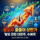 탈모주 줄줄이 상한가 '탈모 관련 대장주, 수혜주'