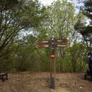 보현목장 이미지