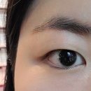 뉴보보스