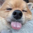 위클라드 커플 풀빌라 이미지