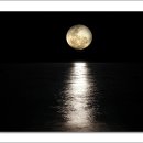 달이 떠올라 이미지