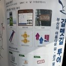 YOLO갈맷길 7코스 | 부산 갈맷길 초보의 첫걸음! 가장 부산다운 여행법 (갈맷길 정보, 투어라운지 후기, 인증꿀팁 등)