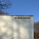 황제주유소 | 캠핑장계의 신라호텔..!? ⛺️ 평창 휘게포레스트 캠핑장 명당 of 명당 B11 사이트 2박 후기