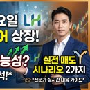 레몬 헬스 티스토리