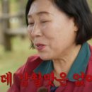전원족발