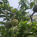 BI-A 당구장 이미지