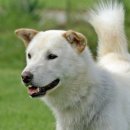 달아실 농원 이미지