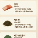 프롬한라 나노트릿 닭, 연어, 북어 내돈내산 솔직후기 | 믿고 먹일 수 있는 고양이 간식 고양이 트릿...