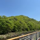 지리산 뱀사골 리움펜션 | 지리산 펜션 찾는다면 여기가 진짜 찐! 자연과 힐링 동시에 잡은 지리산뱀사골리움펜션