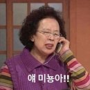 필름미뇽 계약 후기｜가성비&영상미 모두 잡은 필름미뇽!(짝꿍코드 있어요💕)