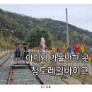 청도군 자전거공원 캠핑장 | 대구 근교 경북 청도 아이와 가볼만한 곳: 청도레일바이크