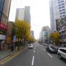 하단동204 이미지