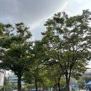 정윤피티