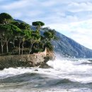 강북바른정형외과의원 이미지