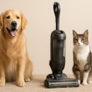 골든아쿠아펫 | 반려동물 털에 강한 청소기 완벽 가이드