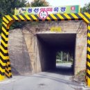 황우목장 이미지