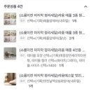 에스알가구 | 원대 세라믹식탁 <라움에스알 RAUM SR> 쇼룸 신혼가구 내돈내산 후기(8월까지 70%할인, 가성비원목가구)