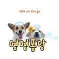 뽀더독(FORTHEDOG) 이미지