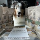 멍멍하누 이미지