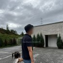 창겸목장 | 가평 양떼목장🐑 알파카·염소·앵무새 체험까지! 가족나들이 풀코스 후기🌿