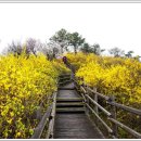 4월5일(수) "서울숲 남산길" 평일산행공지 이미지