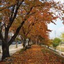 늠내길5코스 정왕둘레길 | [시흥 늠내길 5코스] 정왕둘레길