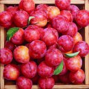 이창효 초대展 이미지