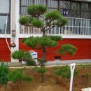 영산초등학교 이미지