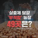 씨케이축산 - 광명시 안현로 22 | 씨케이축산