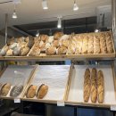 마포-공덕-마포-5403 | 신촌역 에그타르트 맛집, [포닐]