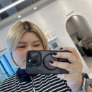 테오르헤어 이미지