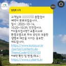 에이원자동차종합검사소 | 자동차종합검사 인천자동차검사소 검사 후기